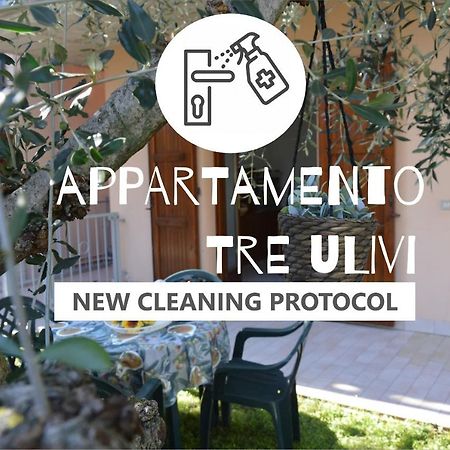 Appartamento Tre Ulivi Toscolano Maderno Exterior foto